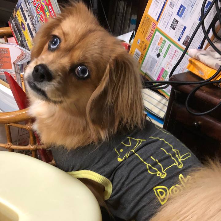 54f9a5ca f2d3 4fe2 8e8f 61d321e7a740 1515531771188