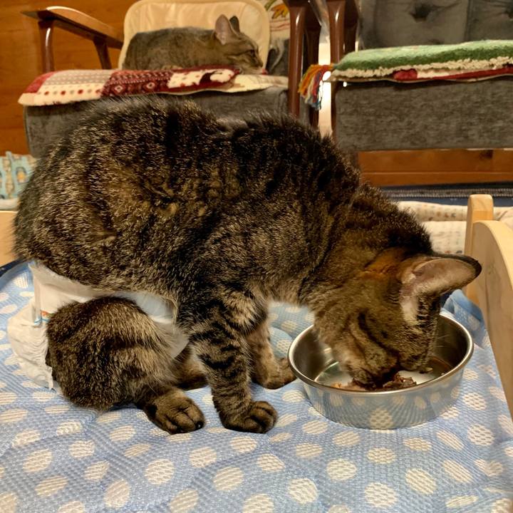 54f9af15 293d 4fec 81a5 62b977cd4bc8 1562199913479