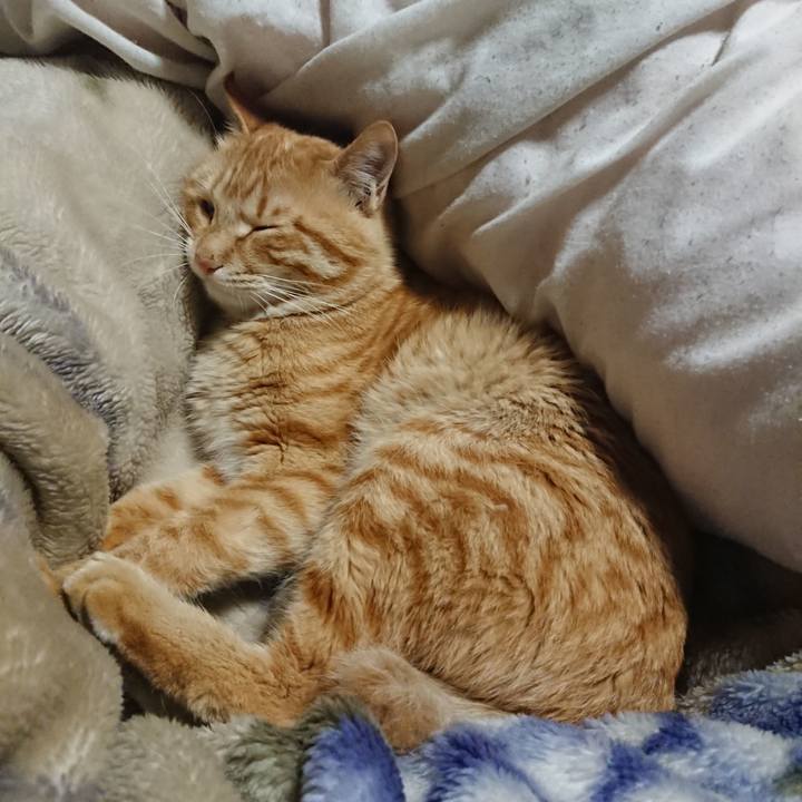 54f9bb0f 0ab3 438e b33b 9c96131c2889 1649335341258