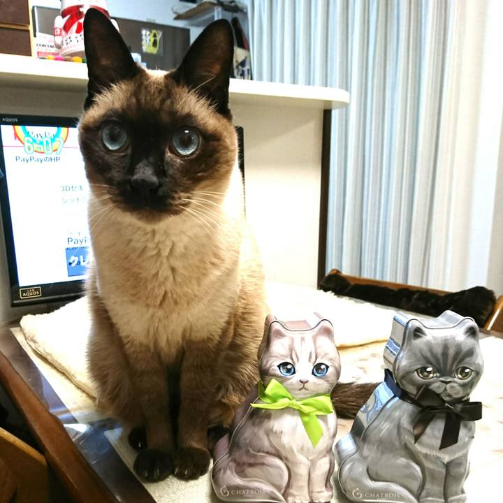 54f9c51c 539b 4296 aede 0cc188628f2c 1545945459152