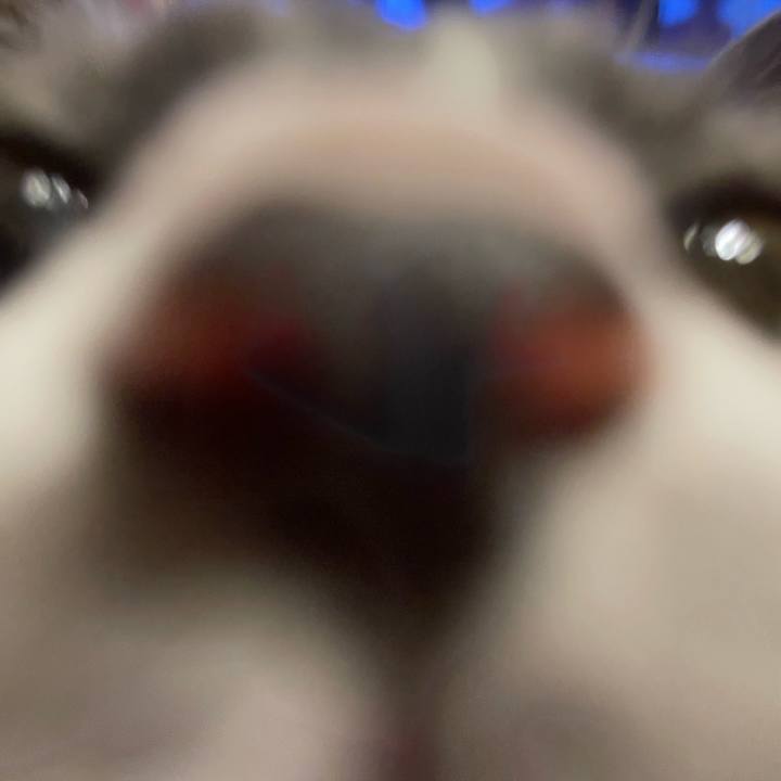 54f9db31 fa49 4b18 948a 6c2f7c8de623 1685714694030