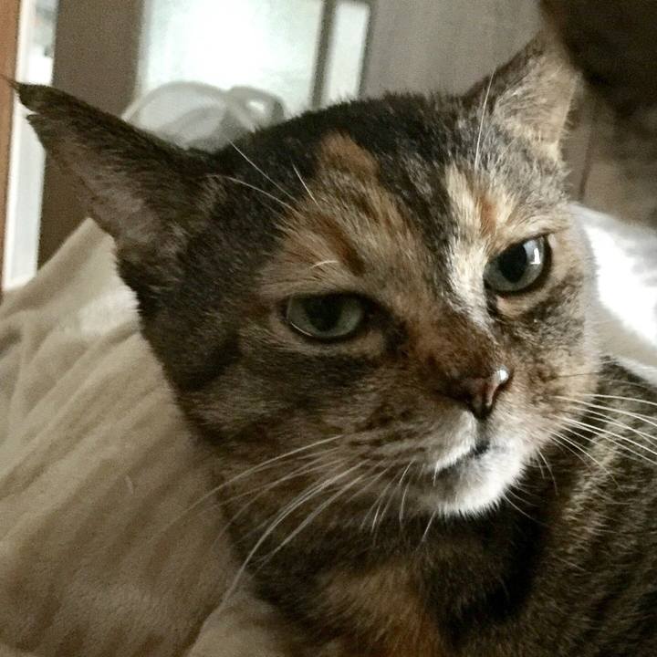 54f9e1c7 2a43 46fa 88e9 79a0ea194ec6 1546871643191