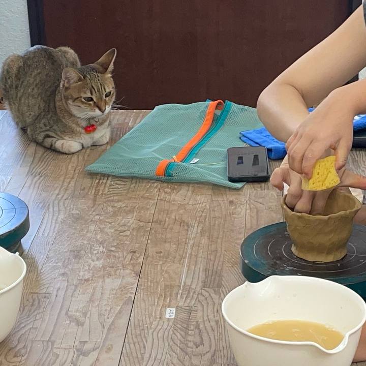 54f9f3d3 12e6 499a a96b f0db211a0cb6 1723267462305