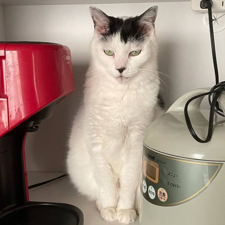 54fa4fef 42ca 48e1 8e2d 4588afcbe75c 1609225058045