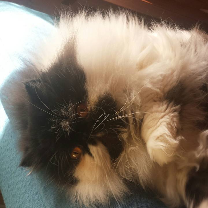 54fa8992 d386 4e63 aeae ae37b05da782 1518397839875