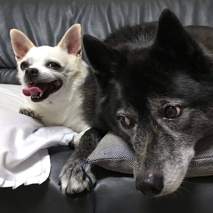 54fa9ef2 e914 4f48 a192 5673dc6614cd 1571104646857