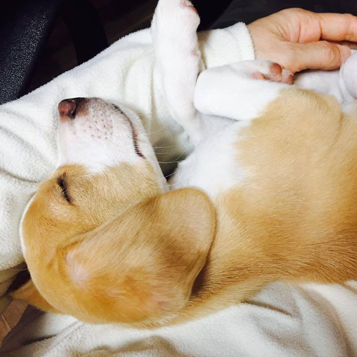 54faa9cb 5862 41a7 93ef e498890ac925 1581822390916