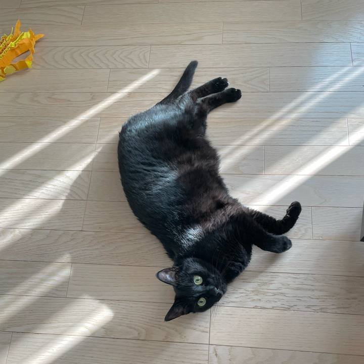 54fadbd3 79a2 4237 a7a2 6075a087d53c 1714254929303