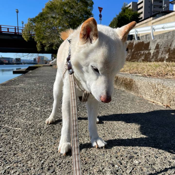 54fae715 37ed 4d44 875a 3da3bf87754d 1639231270077