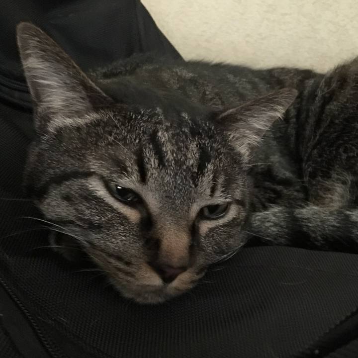 54fb103b 76ac 4b3c 9a60 a4f5b2a68db6 1573129200408