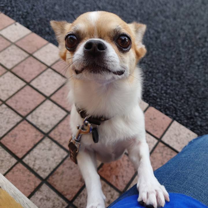 54fb3d8f 5d7c 48e8 b029 f69ecf4174c0 1693006504677