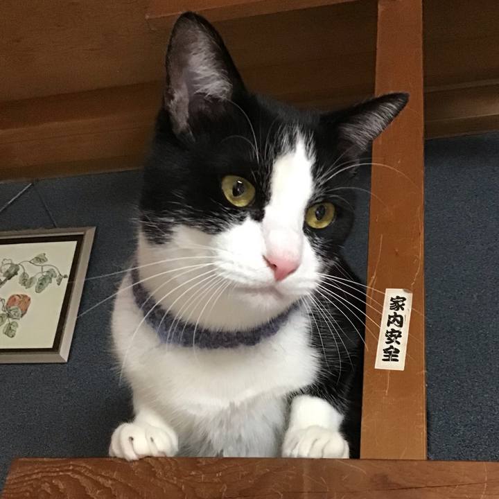 54fb4450 954c 4b82 a695 38a0cf068a06 1670419129685