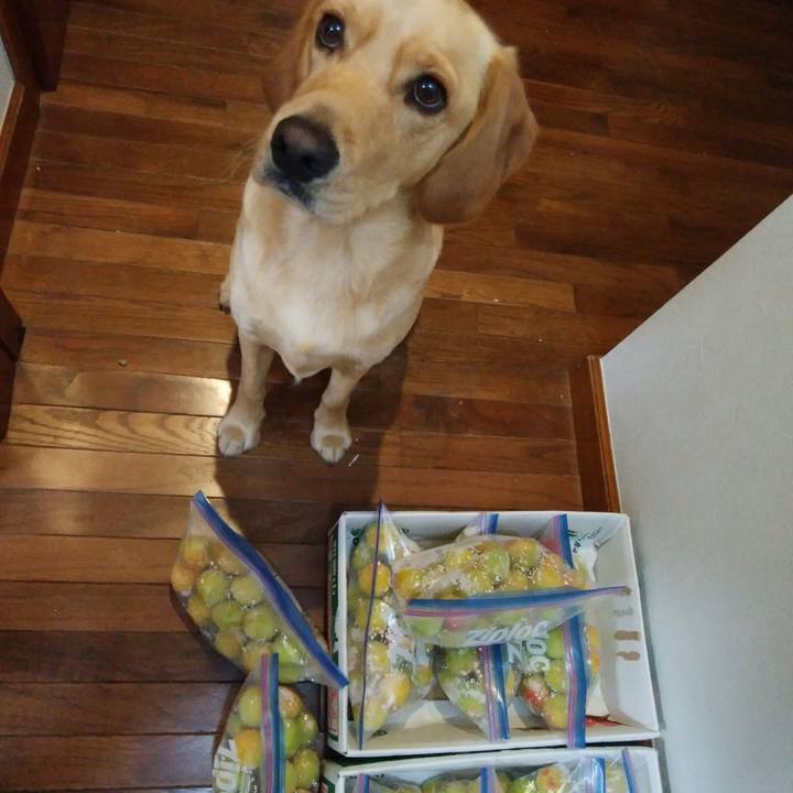 54fb697d 85c2 402c b313 b1d933517005 1529445681263