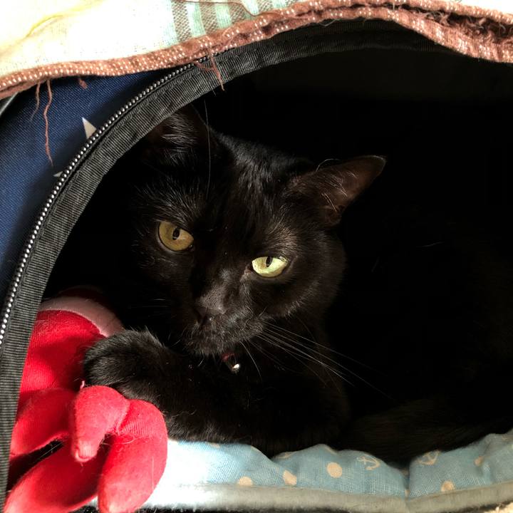 54fb78c8 0cd3 4e2a 8111 c2b79d296af1 1629757417790