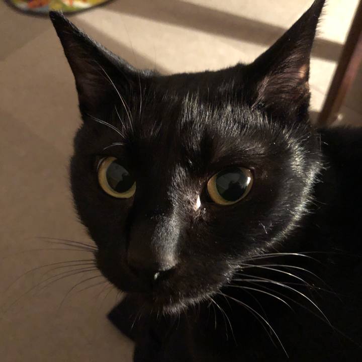 54fc2e5b e2df 4316 9456 951af76a4329 1675773144844