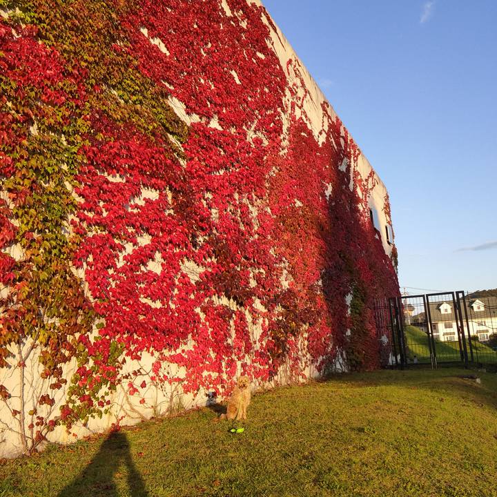 54fc4897 cb69 4be2 a58d da2bfc09f480 1602195248527