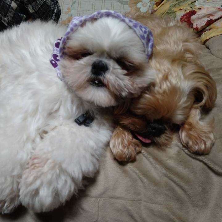 54fc7c55 2f61 4f2a 858f ad03150e173b 1615643574983