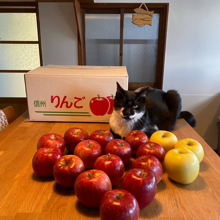 54fcddc8 381f 43bd 9675 2f0c5667efa7 1633843560764