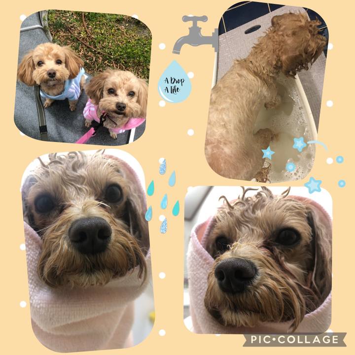 54fce28d bcc9 4d6a b6a5 54b77ddc502f 1642958567258