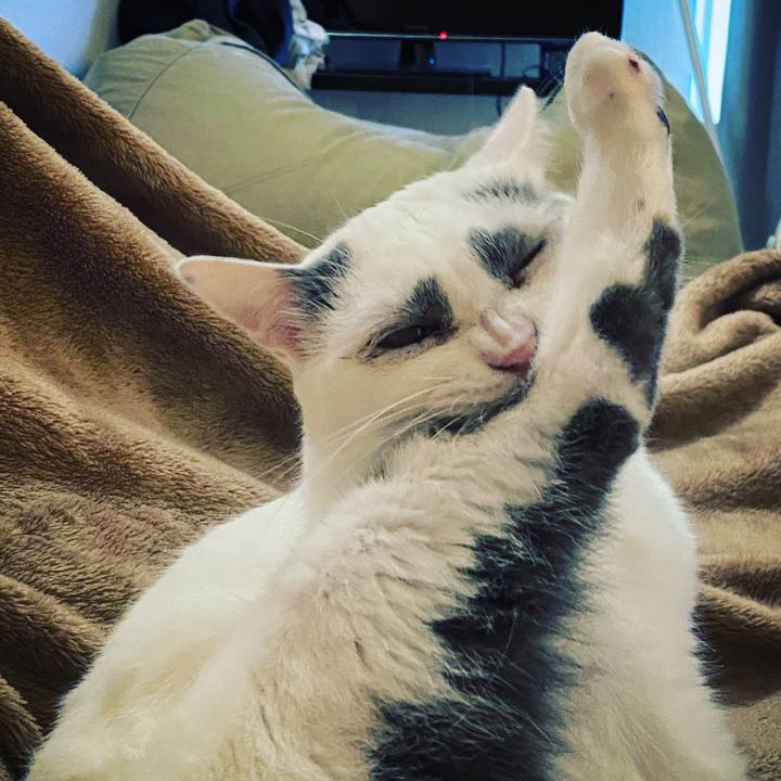 54fcea12 638f 40aa ab62 592e9b333459 1625398382163