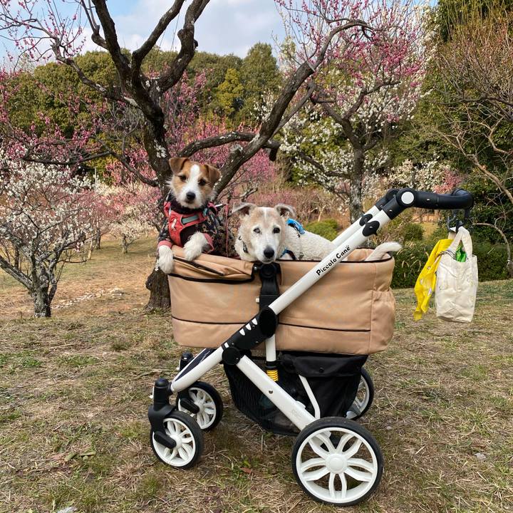 54fced48 6e2d 48dc bff0 b8ac496c4c5e 1707634821956