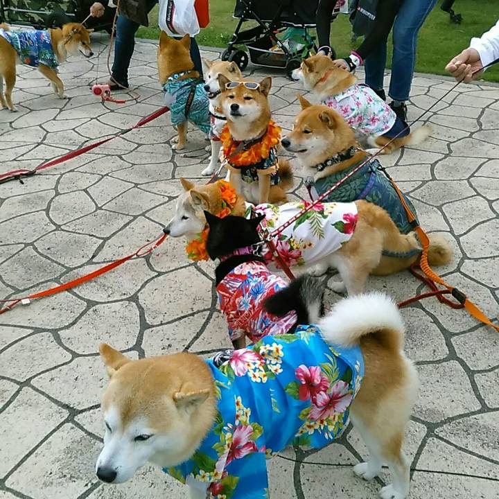 54fcf5ba 5b87 44ca bcc7 03fad4fe0a01 1563184741367