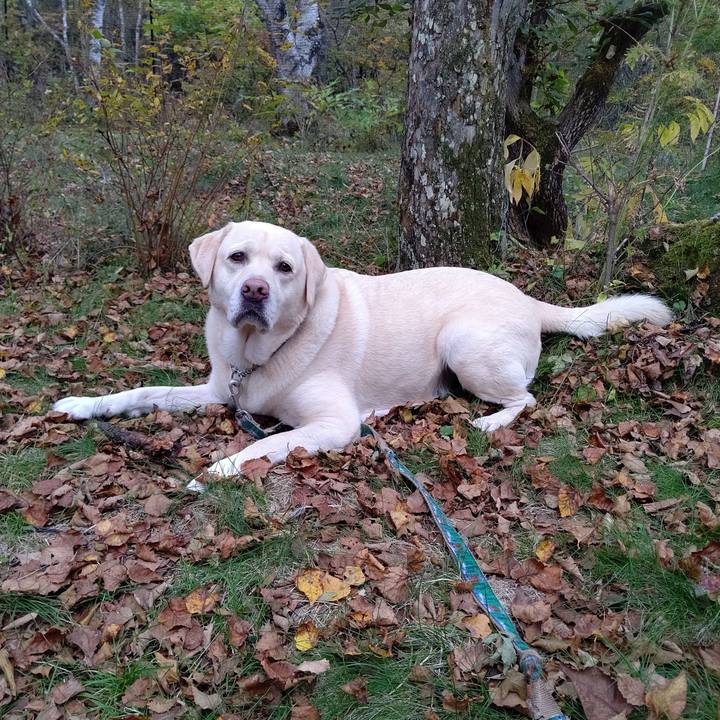 54fd03fb 2db6 4cb3 872c 1831f7634304 1665837404020