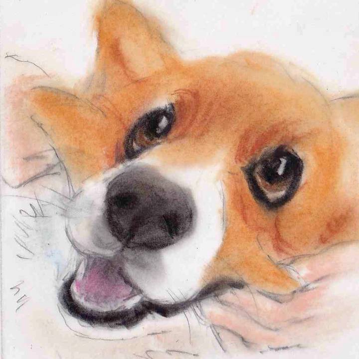 54fd2b43 0fb9 434c b57e fabb6bdb8fe8 1632847906172