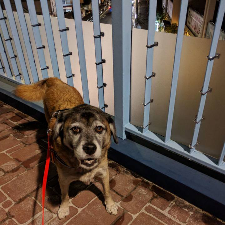 54fd586a 4eb4 4346 86bd e73e086b82f6 1508238275931