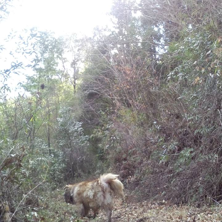 54fd7fea a6bd 4306 bca2 58a571225ee8 1550017527395