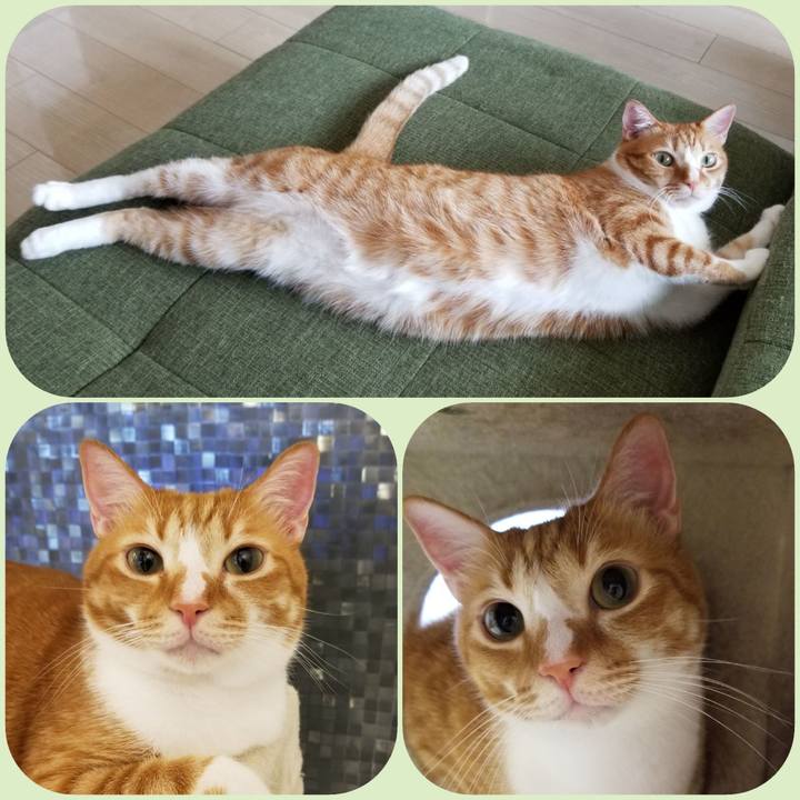 54fd86ce 2db3 4cee a00a 719b34d0b4fd 1559571434868