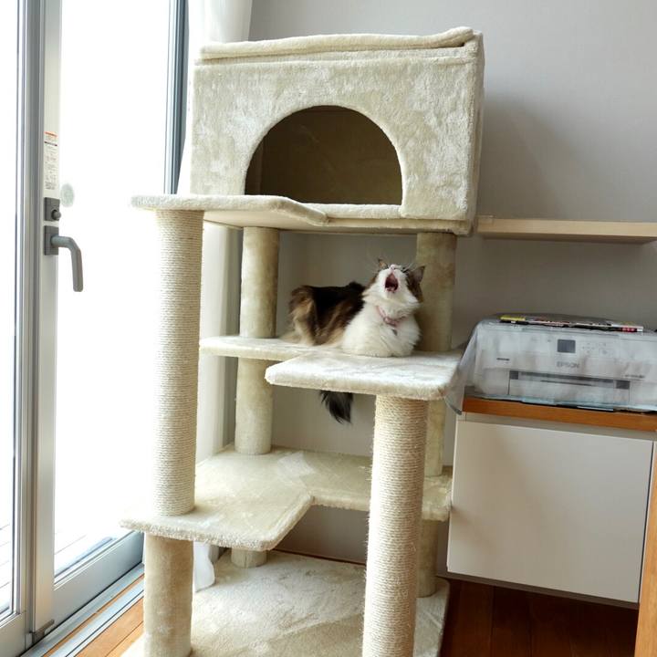 54fdaaea ad9d 4304 8c17 85c8d4de36bf 1596787630842