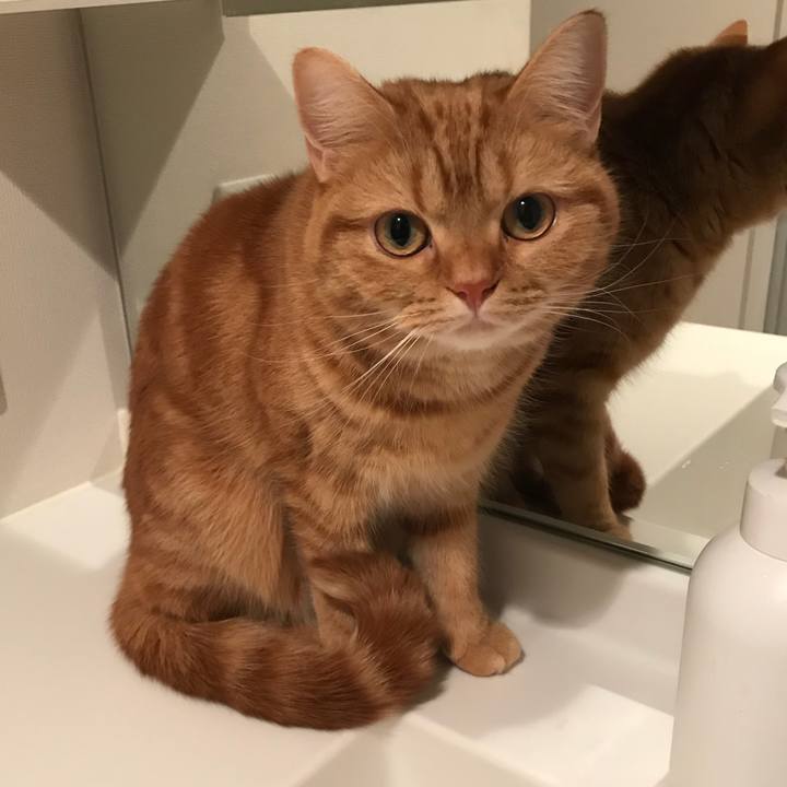 54fde689 4f38 48fc be8b a8dab08ed174 1515928408206