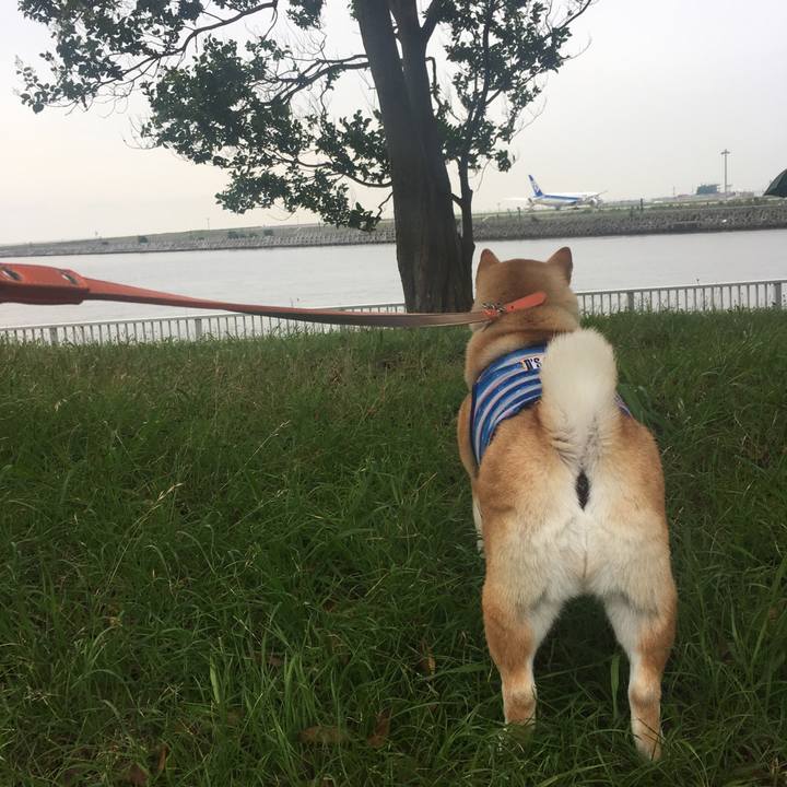 54fdfe14 c035 404d ae9c 102382e833f4 1562830525895