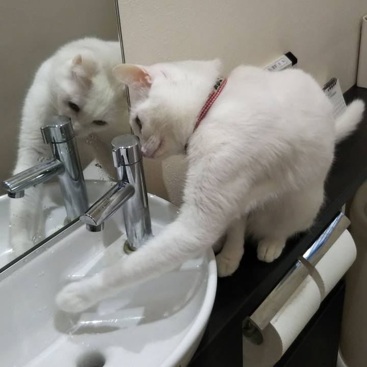 54fdfeb0 39cf 4456 aa66 2d556a8e9ebe 1636678152764