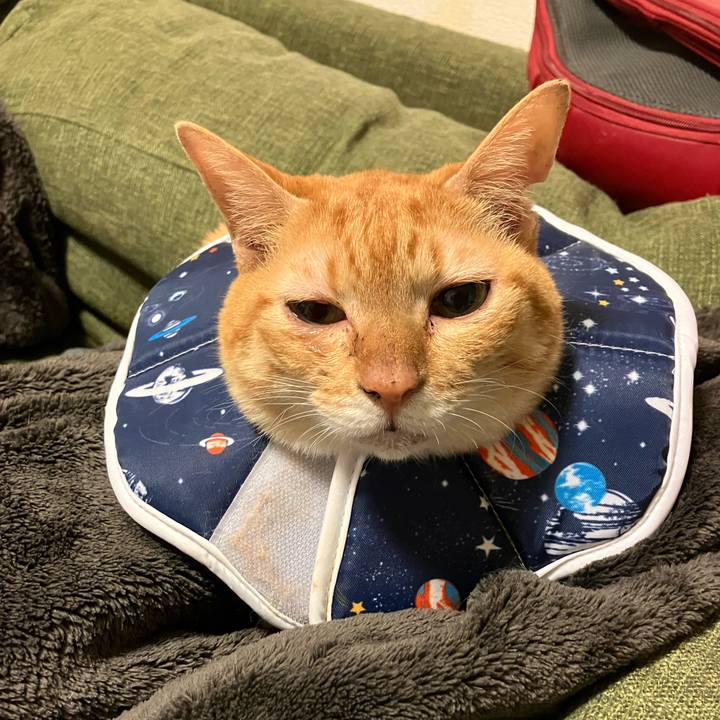 54fe0f86 10fb 40ed 9b37 ae1d68b1fe55 1762511398548