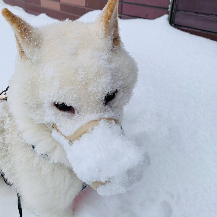 54fe3713 512f 4824 bcd6 0b6453d66854 1609297310098