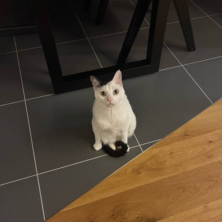 54fe4b76 f17a 49ae a3fa e494c05f56e3 1767700524992