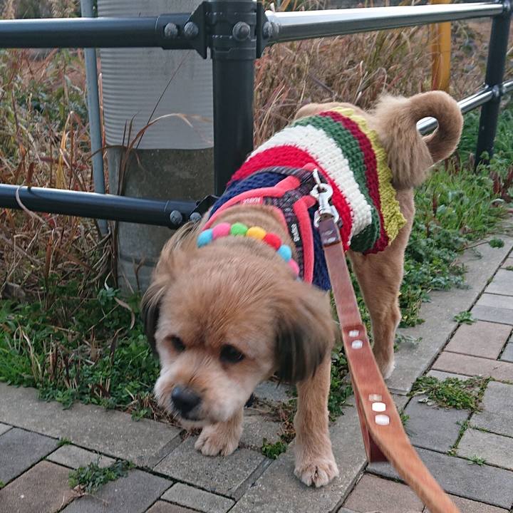 54fe53af 9ae1 4848 82f3 2dec6650e30c 1549011096851