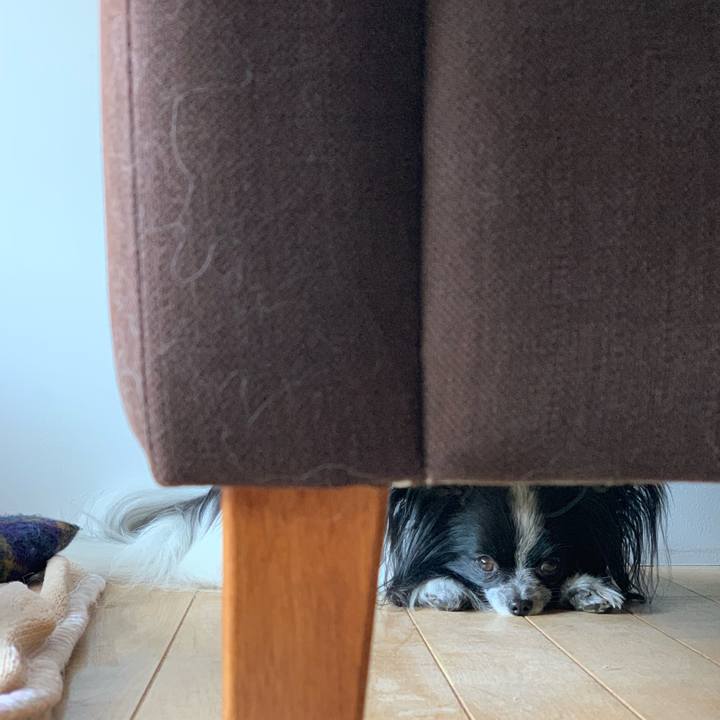 54fe64d3 fc49 4c7c 828b 8b88b09db8f8 1553208207704