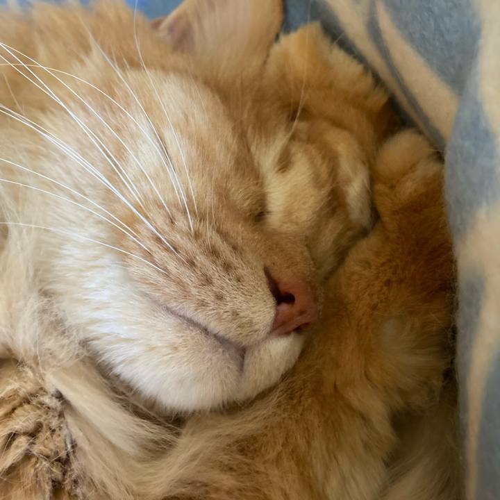 54fe712c 7bbe 492b 9929 08e5e8e63541 1759151244394