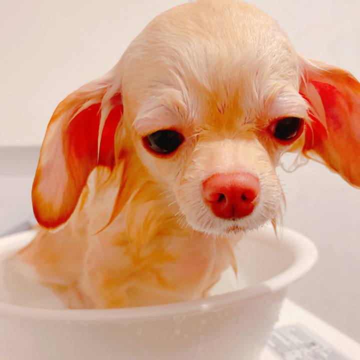 54fe91e0 b783 47b3 8c3c 180027b47348 1637984307051