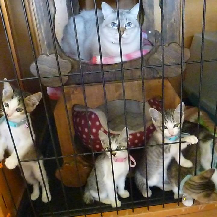 54fe99fb dfd0 41d6 86f6 e23346940a44 1616304322321