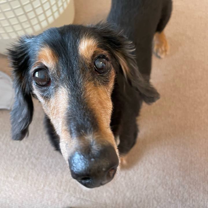 54fec837 d26b 4129 a05b 98f6669a40c4 1676861930326