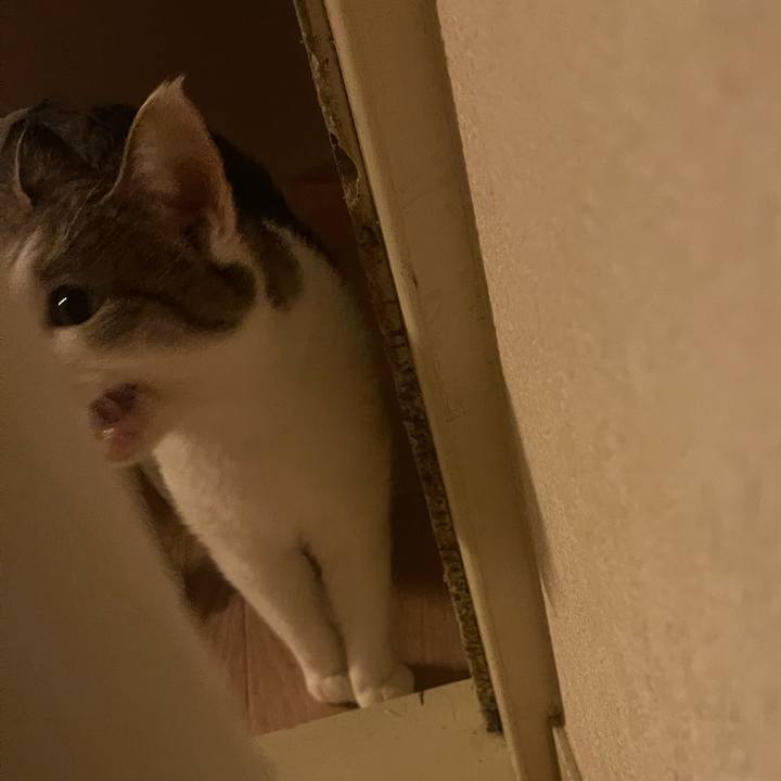 54fef9ed 8069 46aa 9ebc 59914f4e8fe0 1630661050294