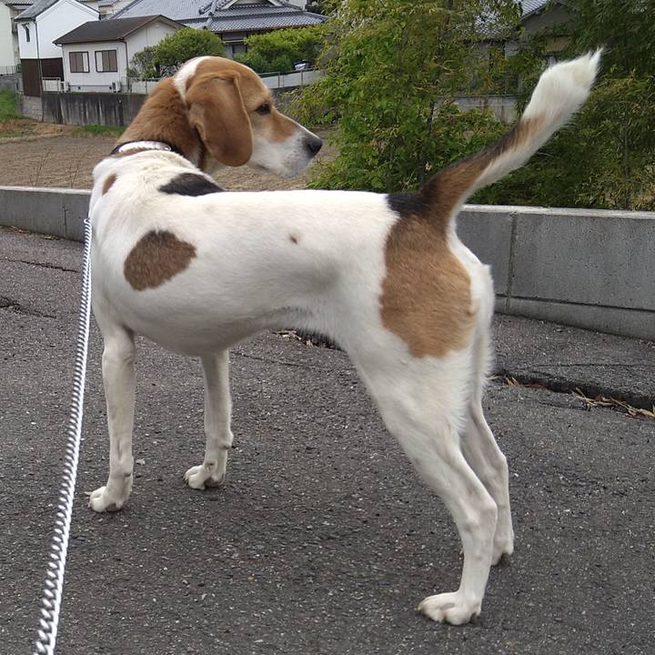 54ff0007 8eb0 48e4 b35d c61e84553114 1620541182229