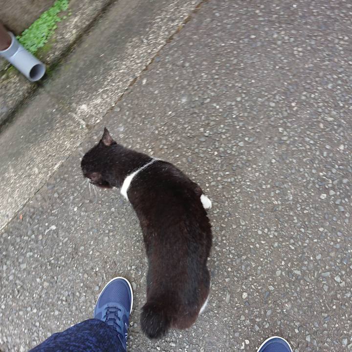 54ff1ce6 724e 4503 91da 70e00672fcd1 1692589342977