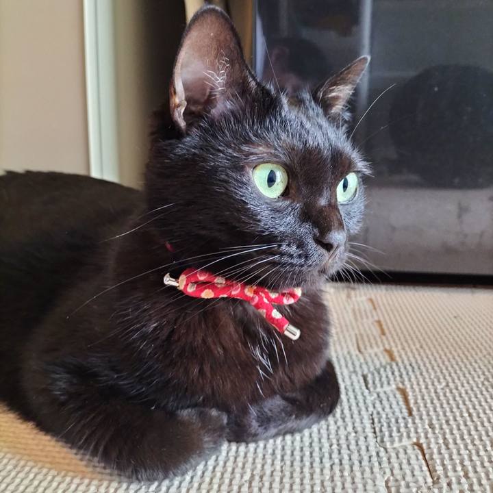 54ff22e8 e415 45c7 893c 632fe6521bb8 1663627661292