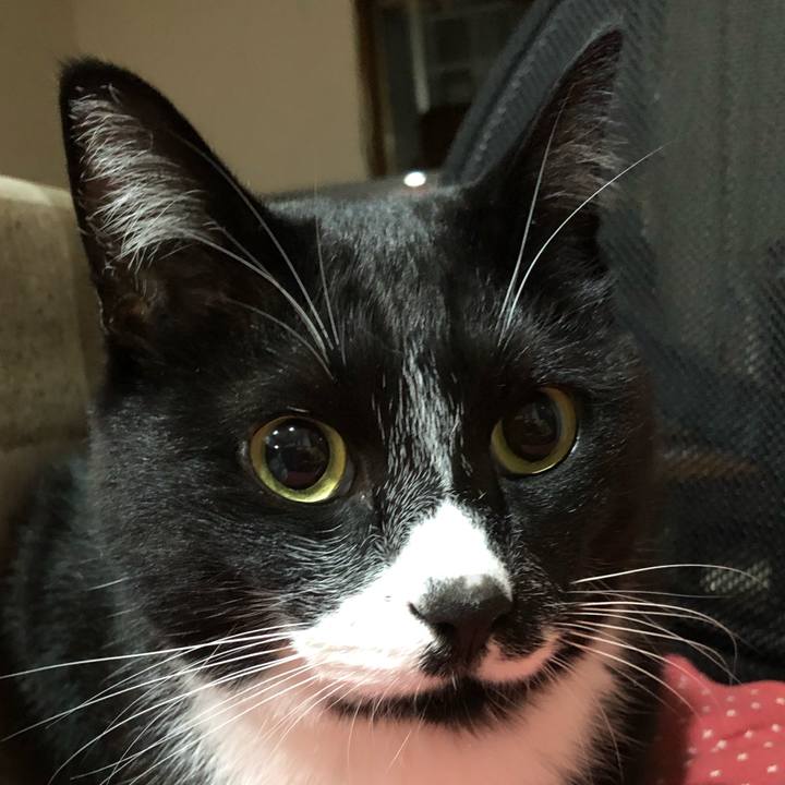 54ff4052 c577 4c9f acd2 c9dd73736b91 1604721910097