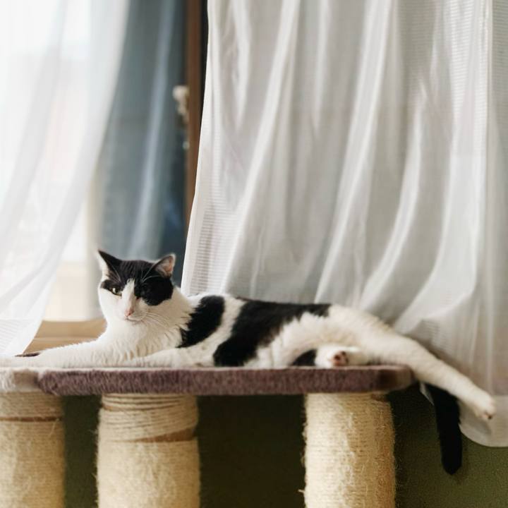 54ff4489 687d 40e3 80ad 666afebcd33c 1597370090985